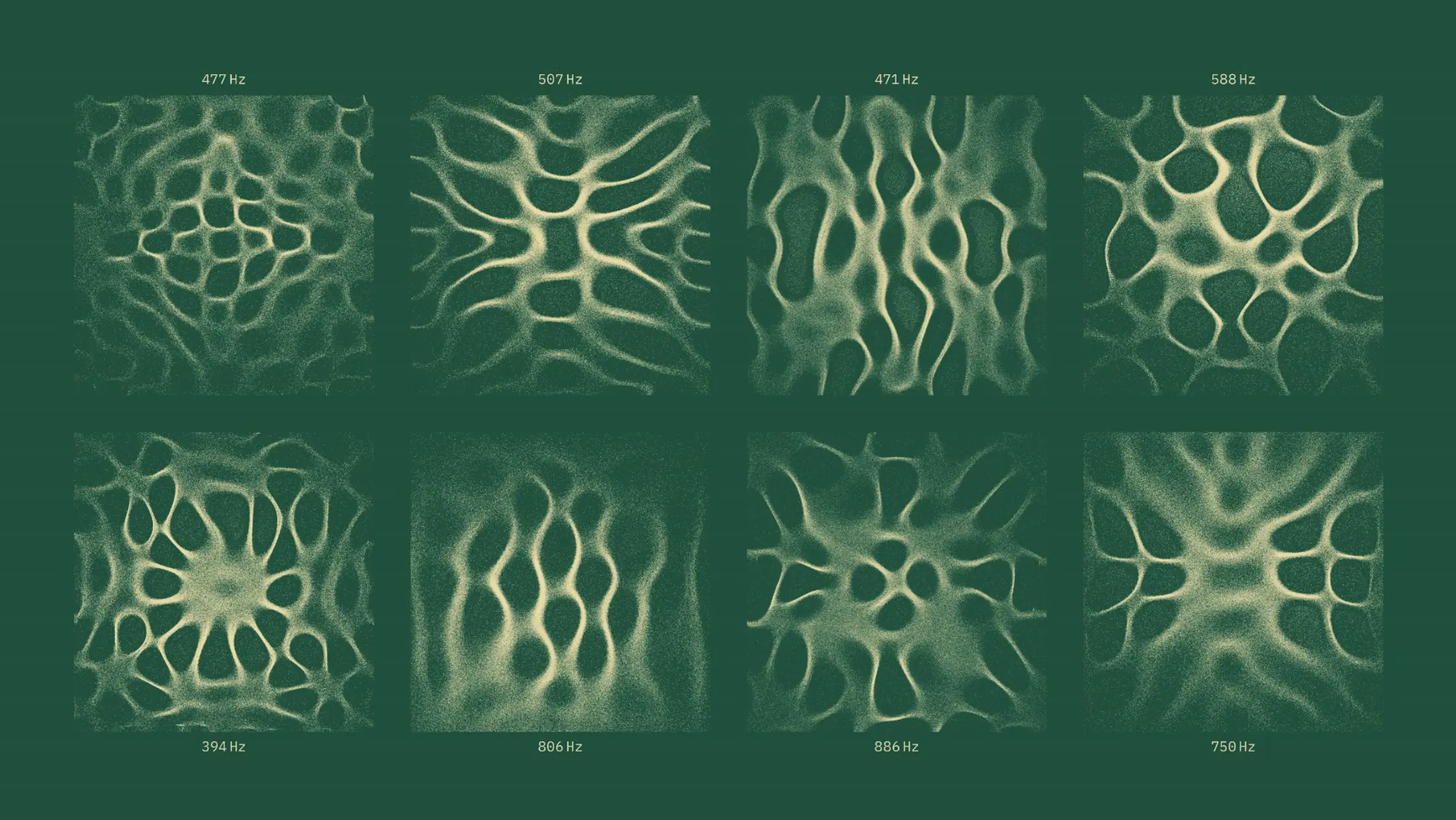 TouchDesigner-generated sound visualization for Forest Carbon